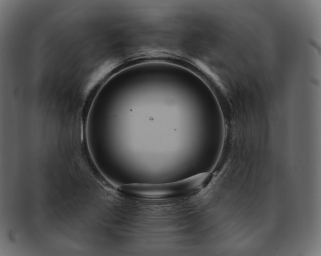 X0000093131269200709261340