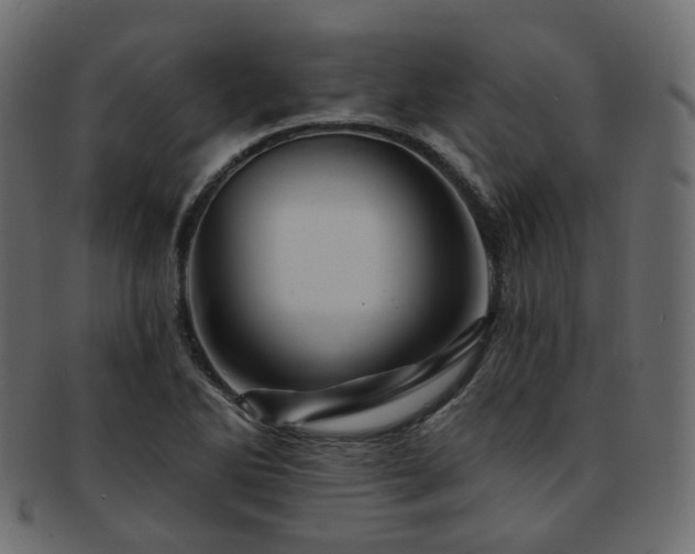 X0000093131270200709261340