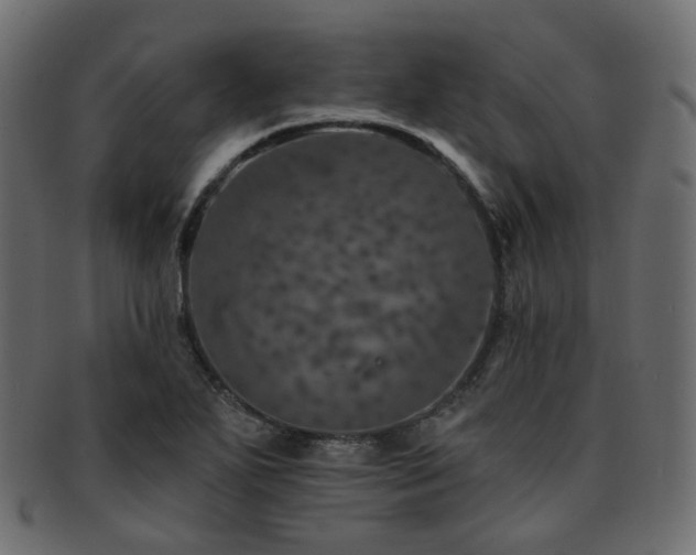 X0000093131271200709261340