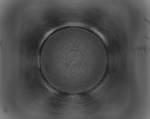 X0000093131272200709261340