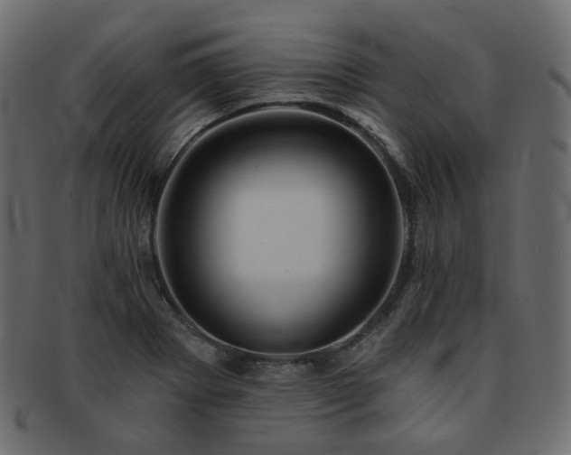 X0000093131273200709261340