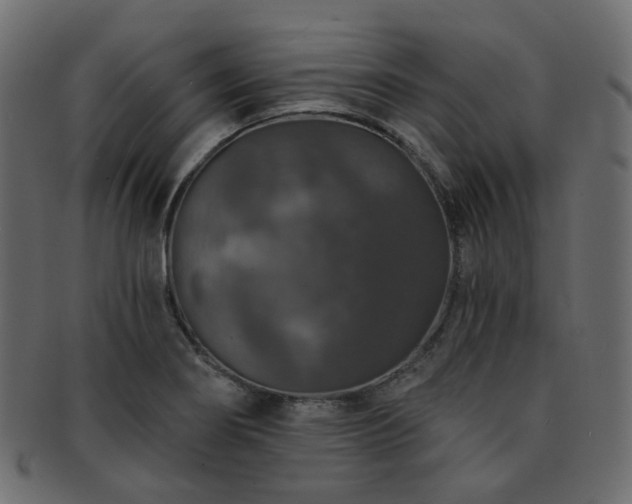 X0000093131274200709261340