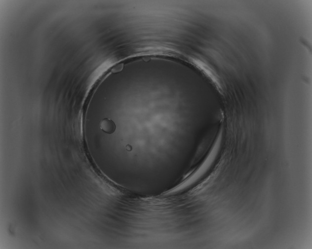 X0000093131275200709261340