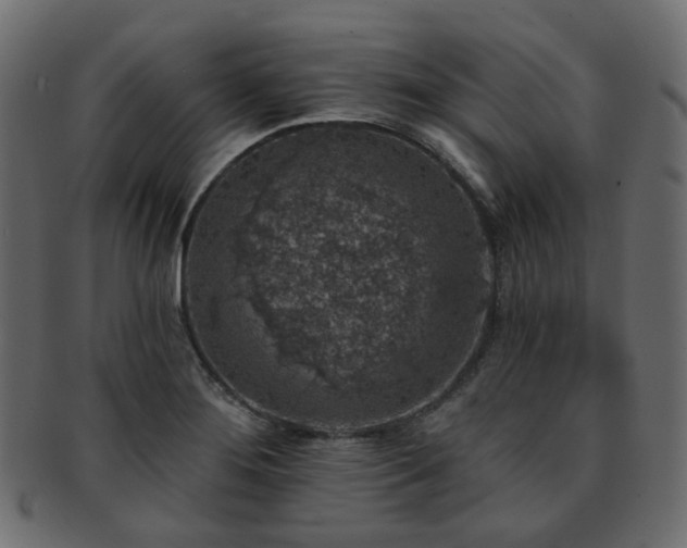 X0000093131276200709261340