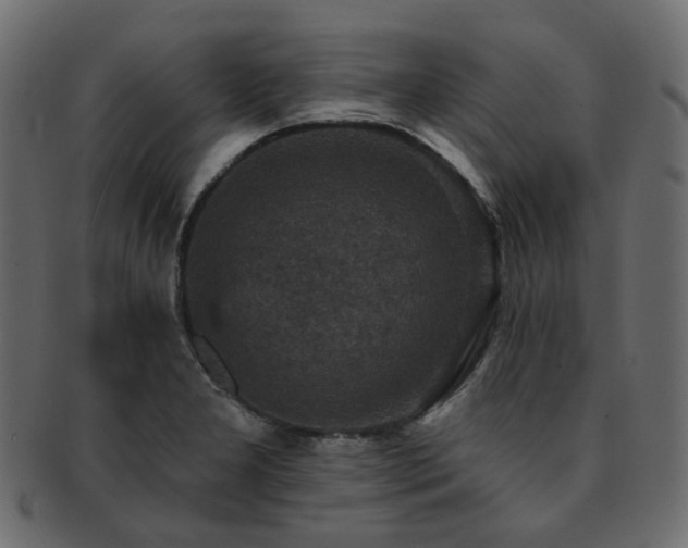 X0000093131277200709261340