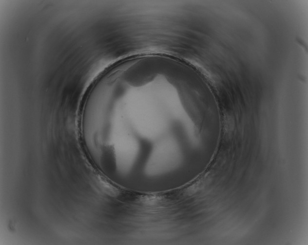 X0000093131278200709261340