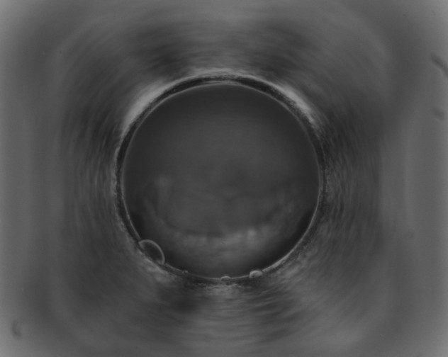 X0000093131279200709261340