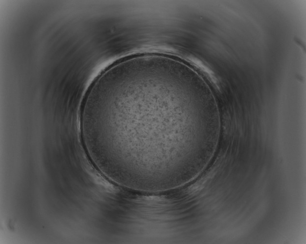 X0000093131280200709261340