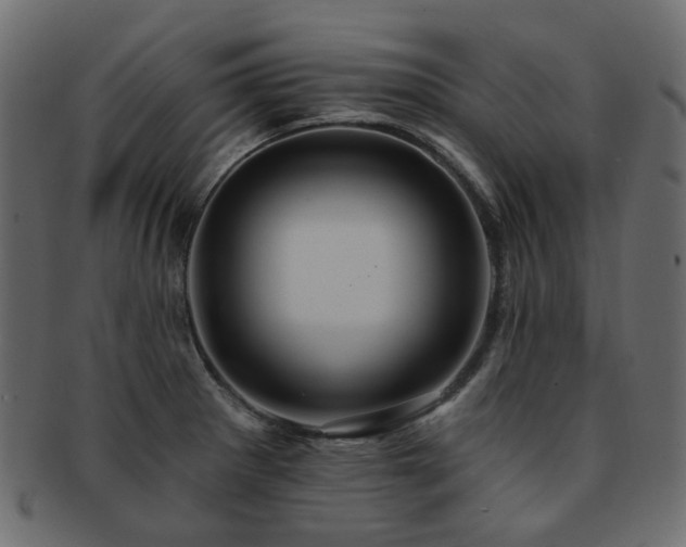 X0000093131281200709261340