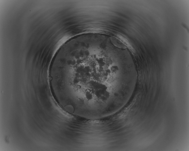 X0000093131283200709261340
