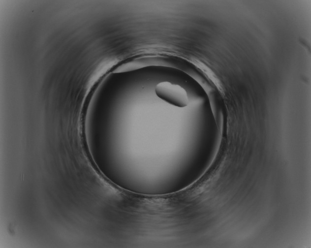 X0000093131285200709261340