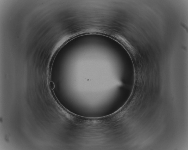 X0000093131286200709261340