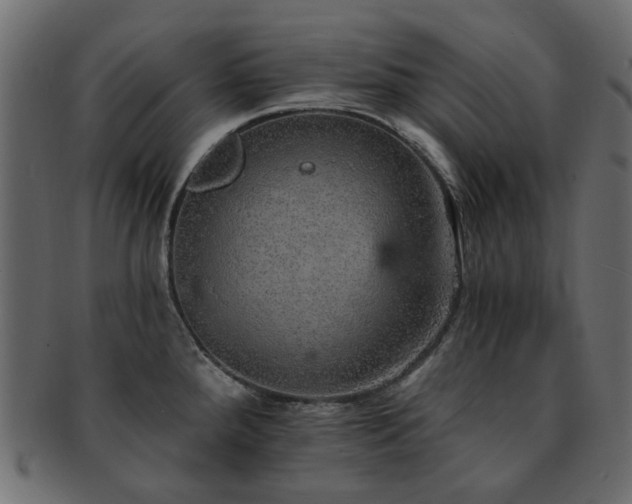 X0000093131288200709261340