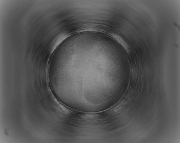 X0000093131290200709261340