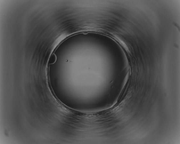 X0000093131291200709261340