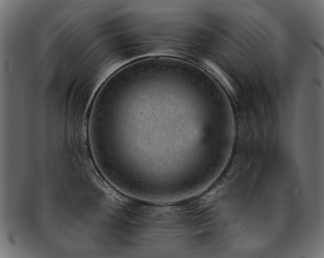 X0000093131292200709261340