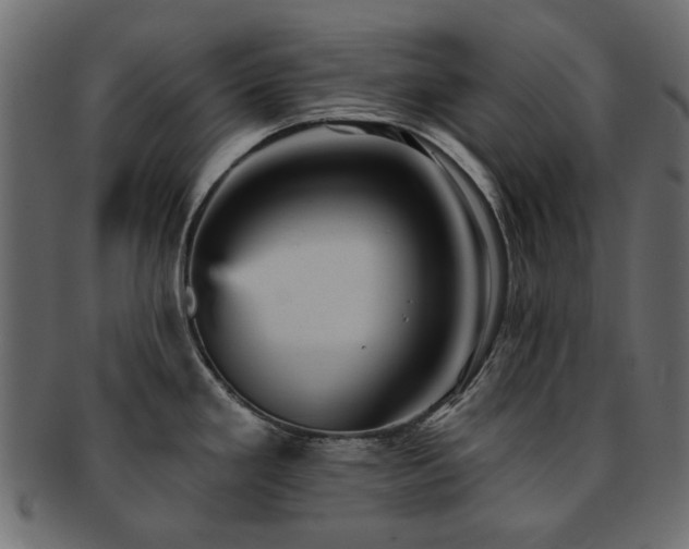 X0000093131293200709261340