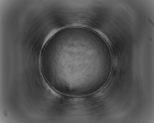 X0000093131294200709261340