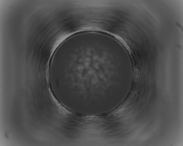 X0000093131295200709261340
