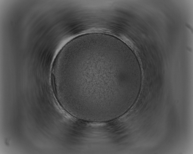 X0000093131296200709261340