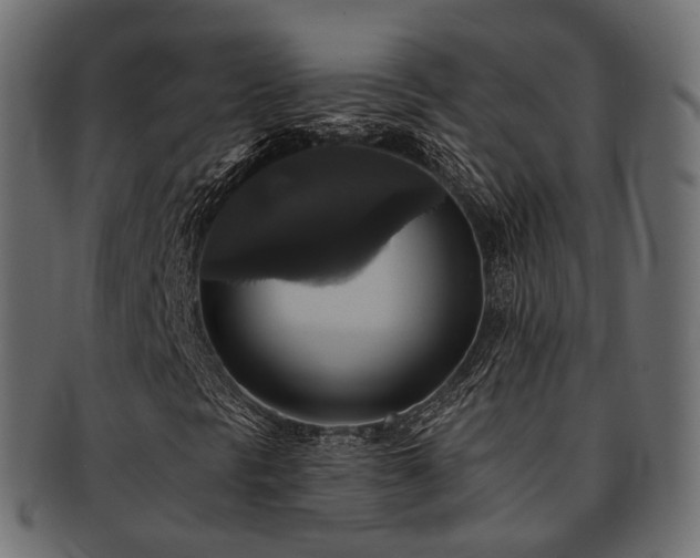 X0000093131297200709261340