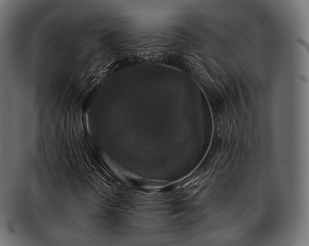 X0000093131298200709261340