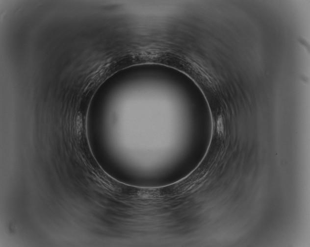 X0000093131299200709261340
