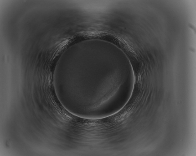 X0000093131300200709261340