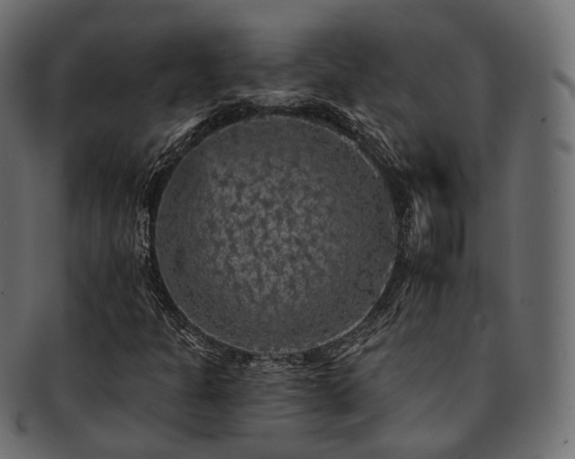X0000093131301200709261340