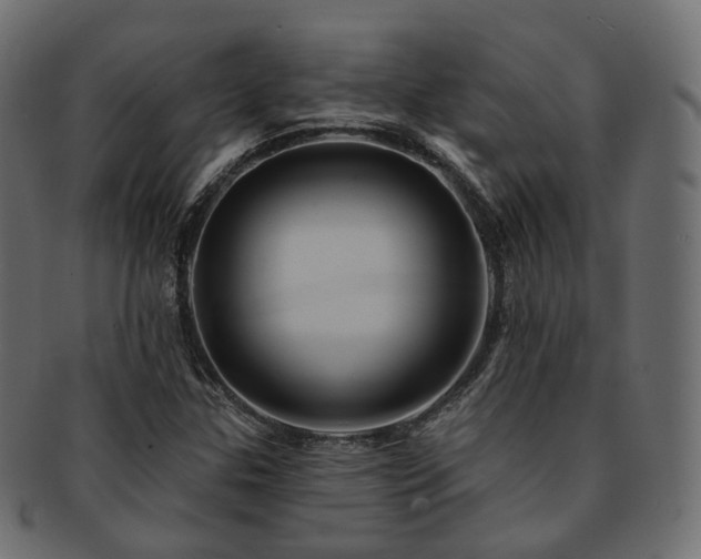 X0000093131307200709261340