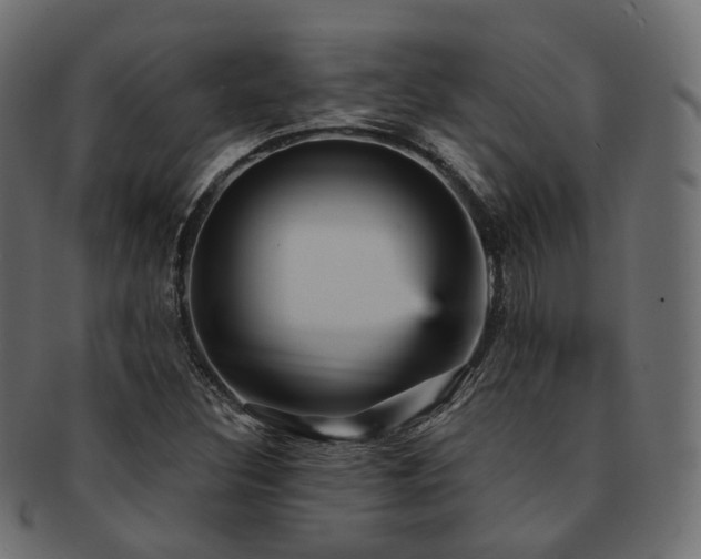 X0000093131308200709261340