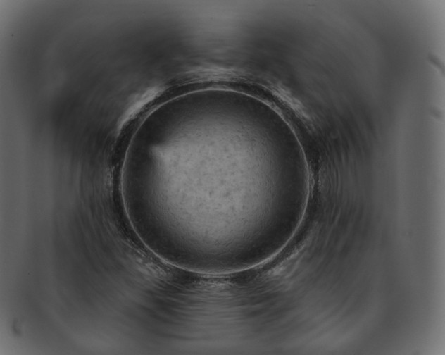 X0000093131309200709261340