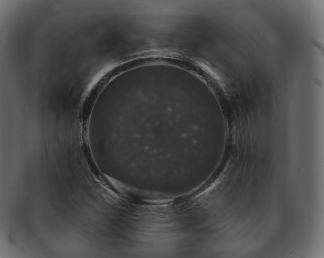 X0000093131310200709261340