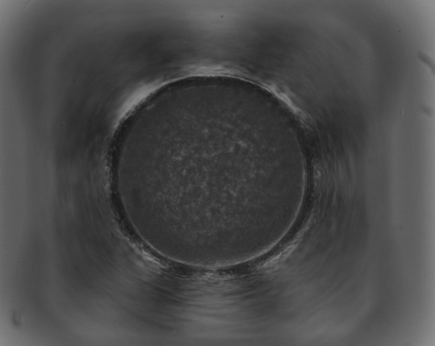 X0000093131311200709261340