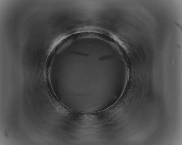 X0000093131312200709261340