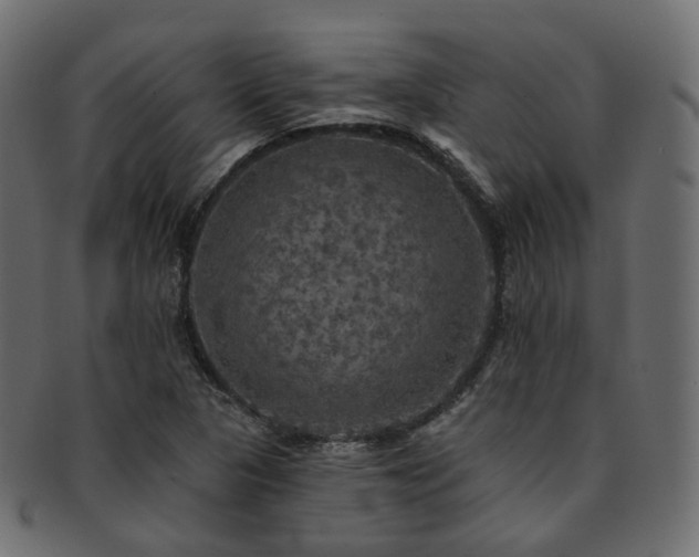 X0000093131313200709261340