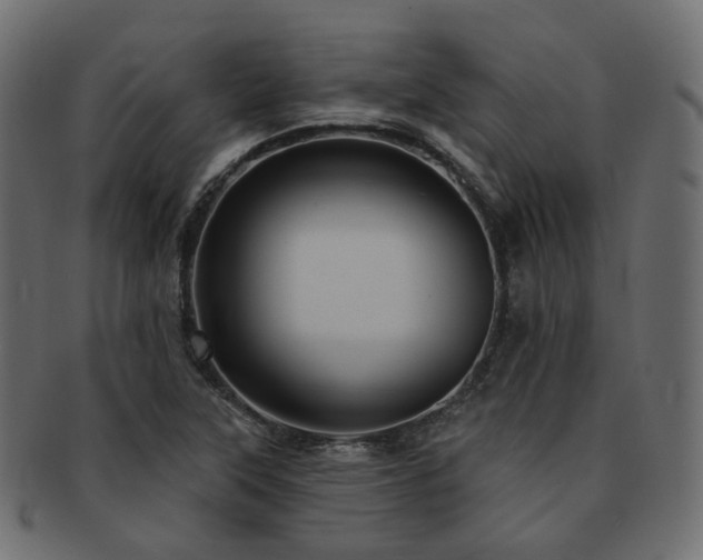X0000093131315200709261340