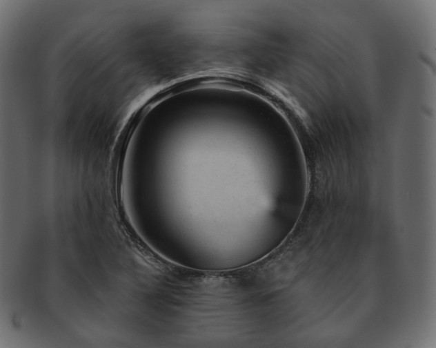 X0000093131316200709261340