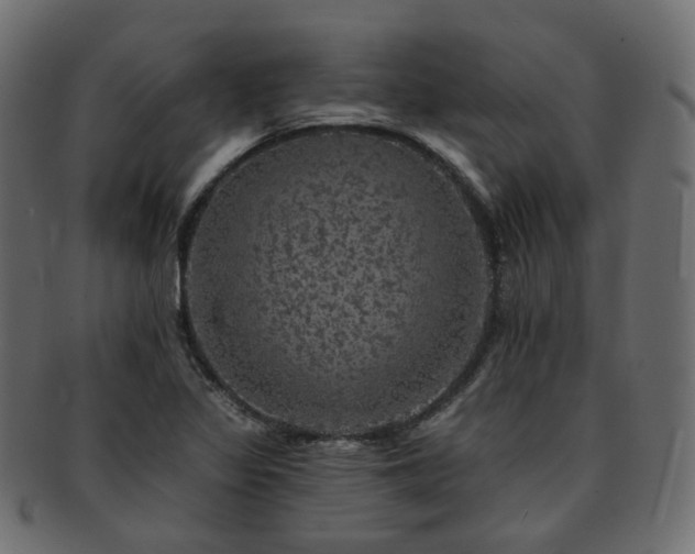 X0000093131317200709261340