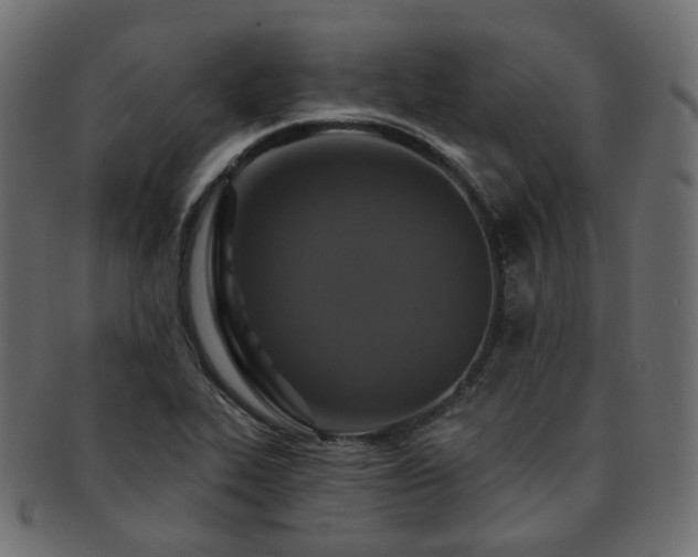 X0000093131319200709261340