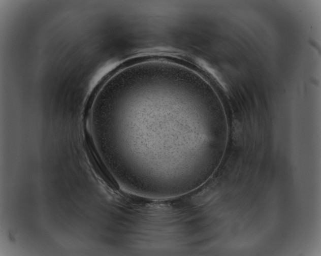 X0000093131320200709261340
