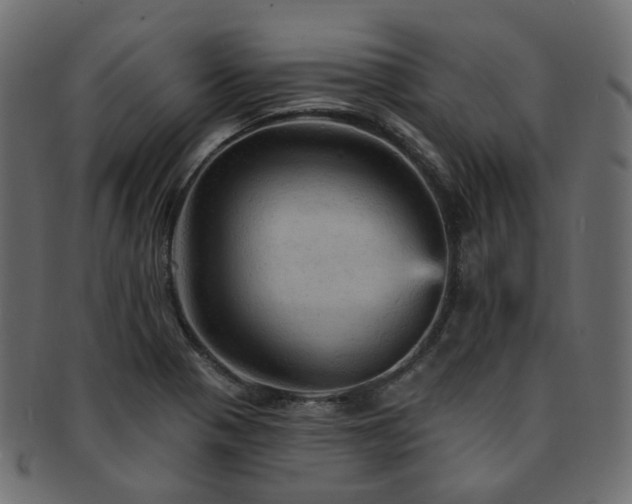 X0000093131321200709261340