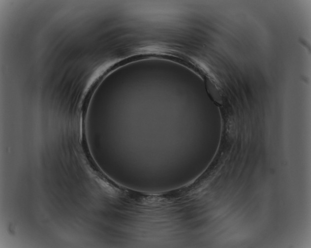 X0000093131323200709261340
