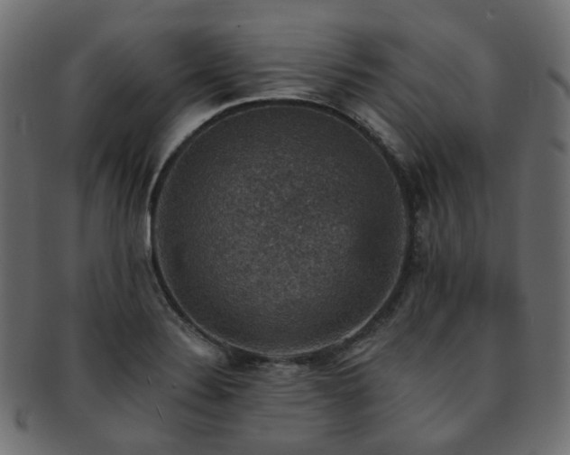 X0000093131324200709261340