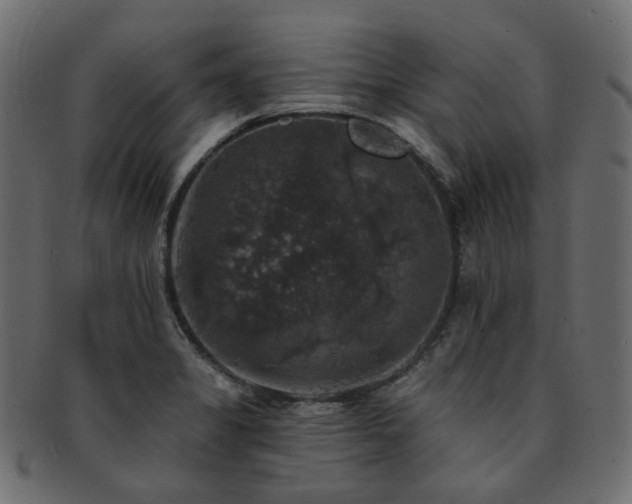 X0000093131325200709261340
