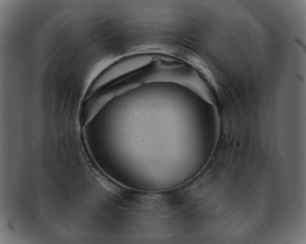 X0000093131328200709261340