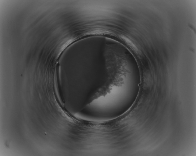 X0000093131329200709261340