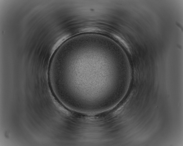 X0000093131330200709261340