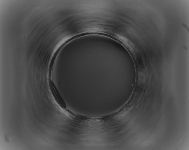 X0000093131331200709261340