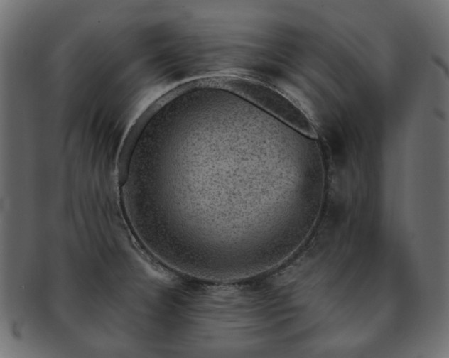 X0000093131332200709261340
